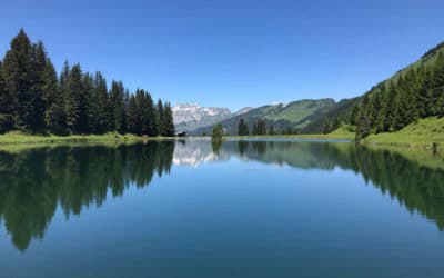 8 Reasons to Visit The French Alps In The Summer